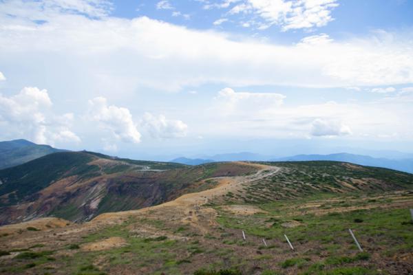 真的是最後一眼了